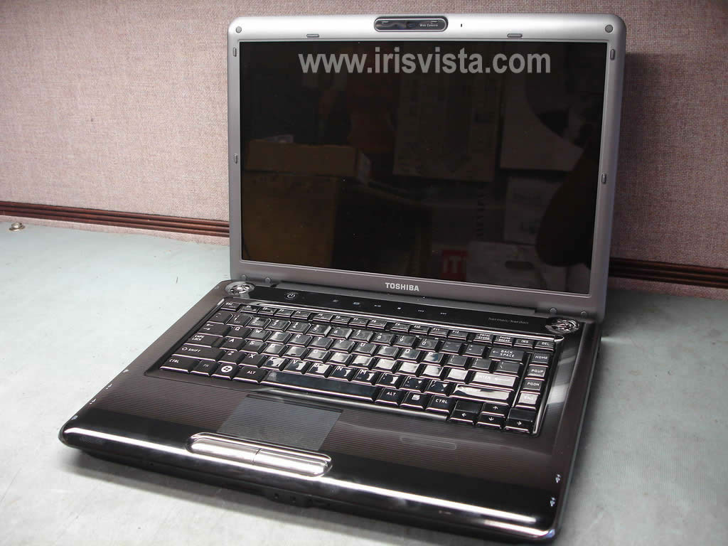 Ноутбук Toshiba Satellite L300 Не Включается